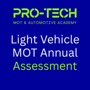 Light Vehicle MOT Annual Assessment